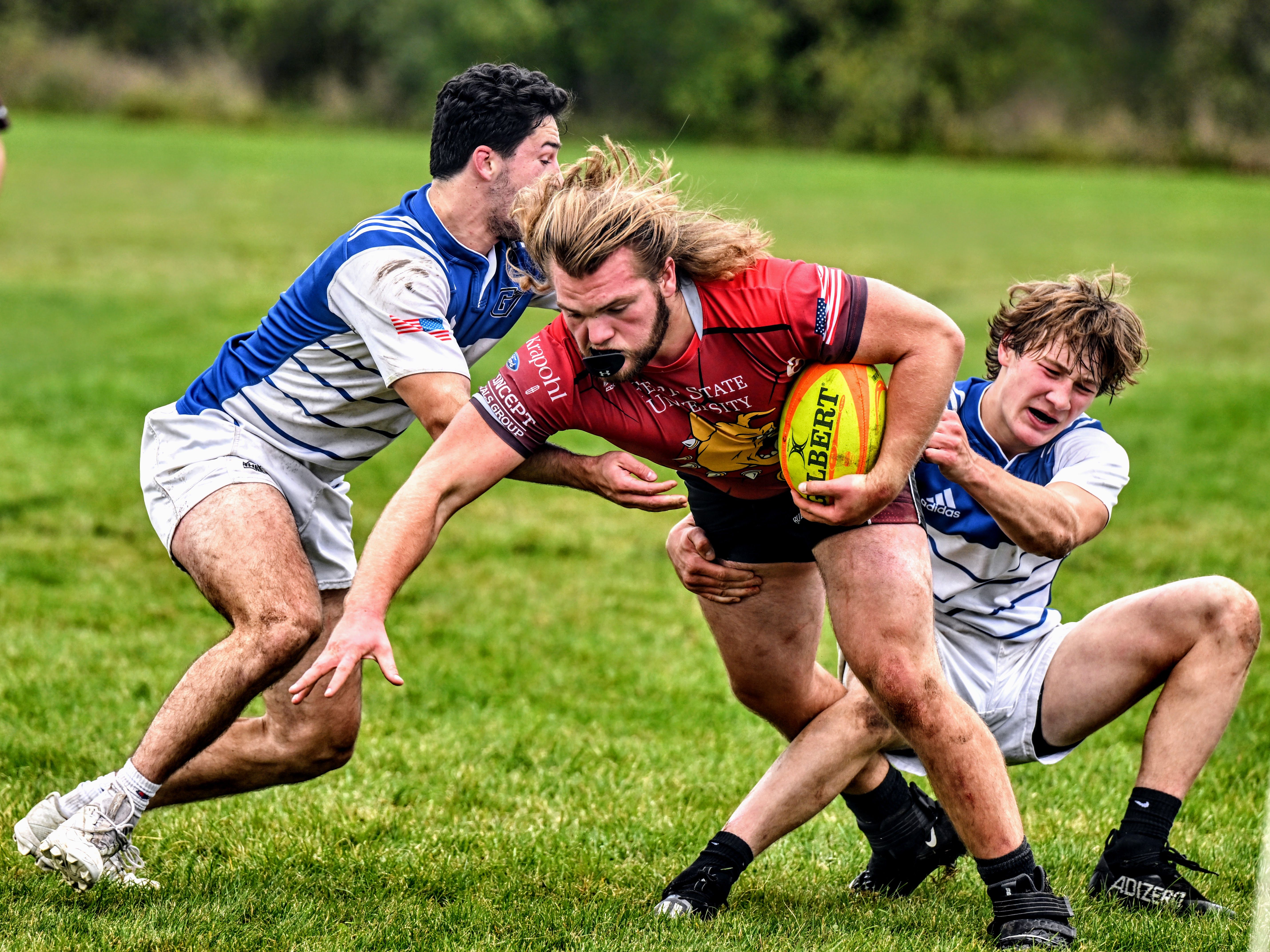 Ferris State rugby player carrying the ball through two defenders